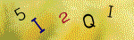 The code.