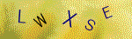 The code.