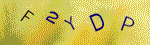 The code.