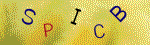 The code.