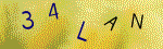 The code.