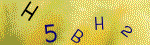 The code.