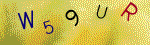 The code.