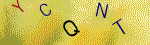 The code.