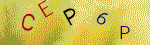 The code.