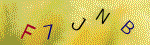 The code.