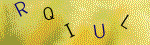 The code.