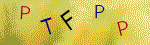 The code.
