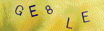 The code.