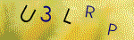 The code.