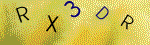 The code.