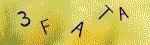 The code.