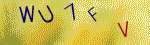The code.