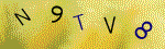 The code.