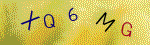 The code.