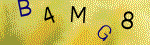 The code.