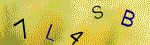 The code.