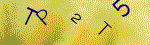 The code.