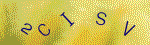 The code.