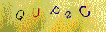 The code.