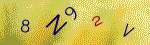 The code.