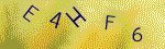 The code.