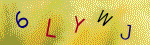 The code.