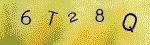 The code.